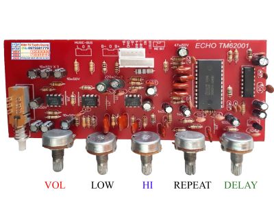 Mạch echo TM62001 xung chuẩn 4046 Hát  Nhẹ - 1 Cái